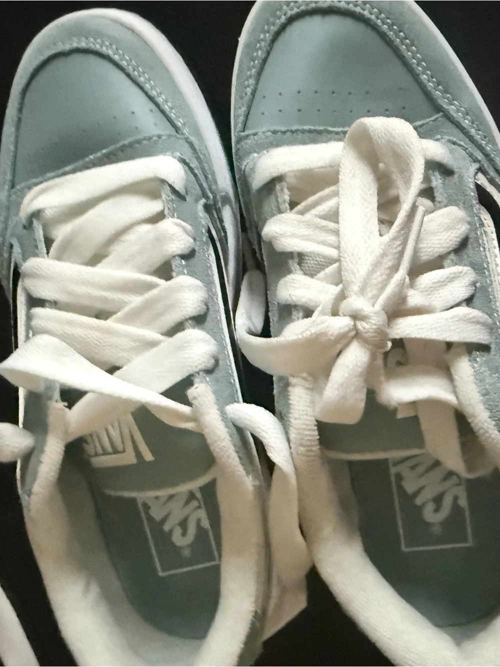 Vans Teal and White Low-Top Skate Sneakers